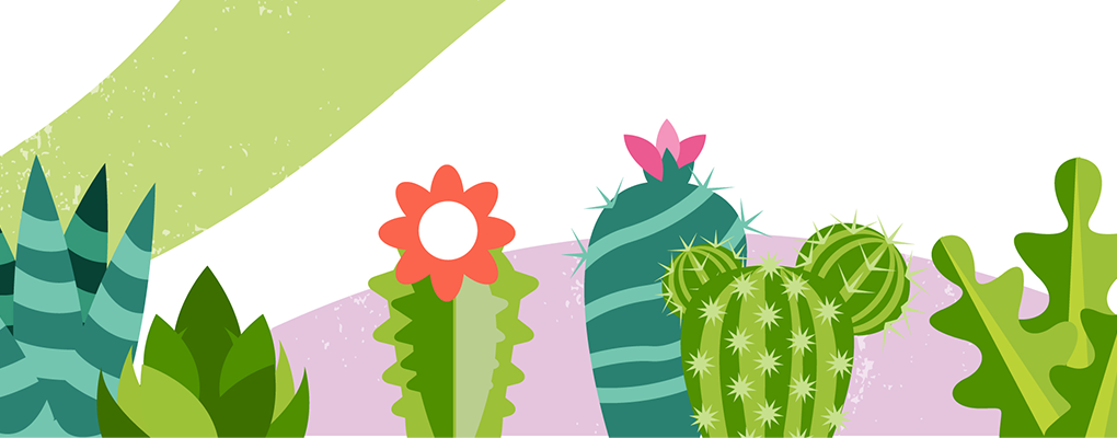 Illustration of Succulents on Colorful Background