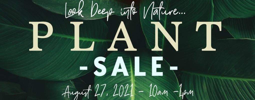 ASD Mega Plant Sale