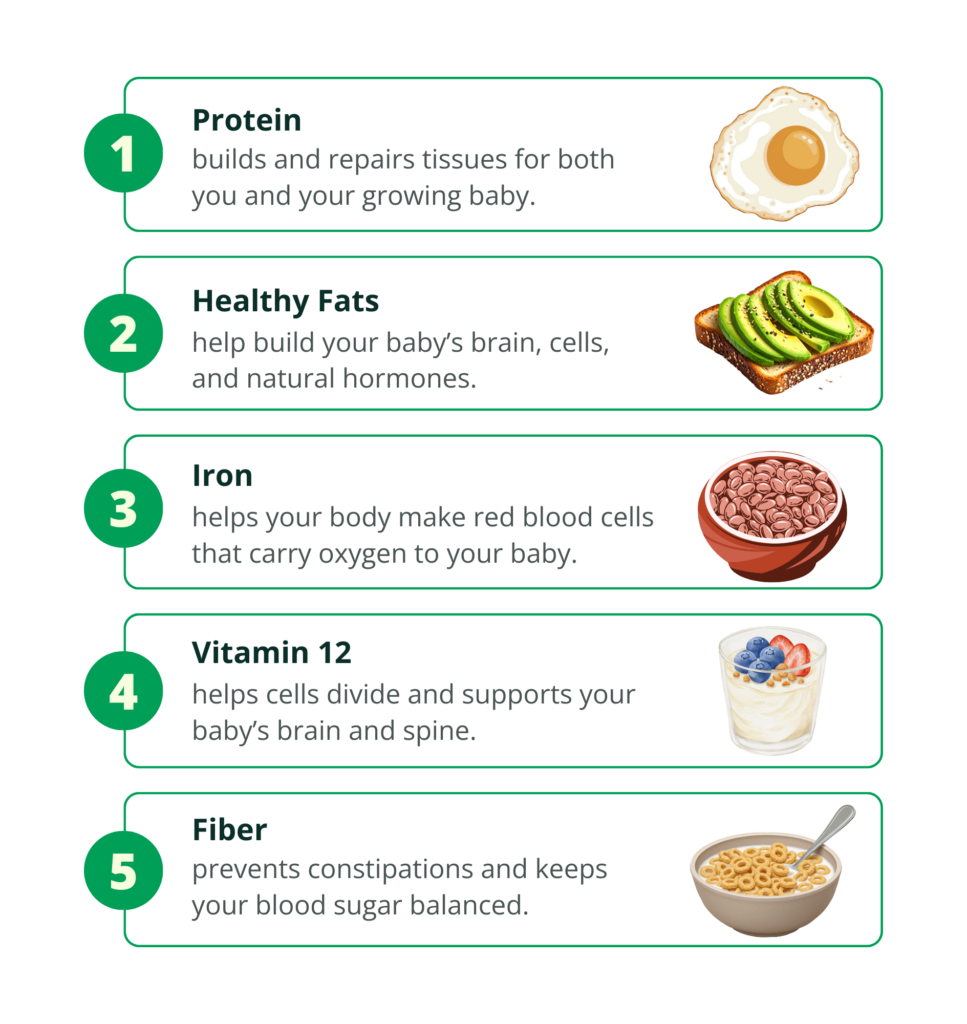 Vitamin B12: Helps cells divide and supports your baby’s brain and spine. Iron: Helps your body make red blood cells that carry oxygen to you and your baby. Healthy fats: Help build your baby’s brain, cells, and natural hormones. Protein: Builds and repairs tissues for both you and your growing baby. Fiber: Helps prevent constipation, keeps digestion moving, and supports steady blood sugar during pregnancy. - nutrition during pregnancy